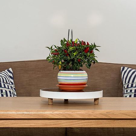 Apartmán A Casarella In Piazzetta Capri Exteriér fotografie